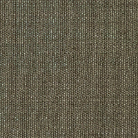 07 Tortora