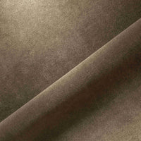 CHAMOIS (4321)