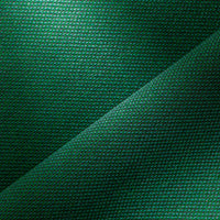 IGUANE (6280)