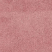Violet col. 31
