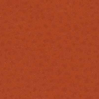 MAYA 410