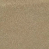 Enchant col. 15 Pietra