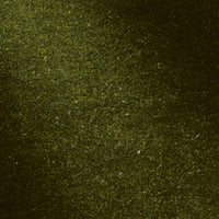 OLIVE (1282)