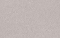 810018