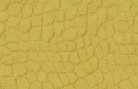 C2230027