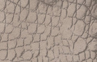 C2420050