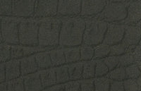C2640173