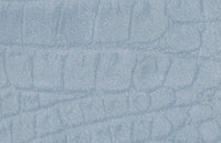 C2700071