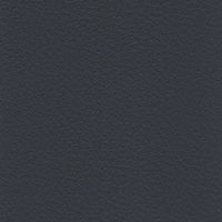 R805 col. blu
