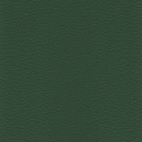 R817 col. verde