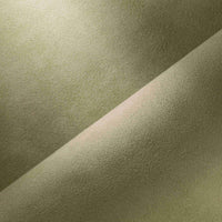 ALMOND (4479)