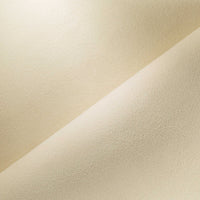 EGGSHELL (4570)
