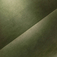 LIZARD (106)