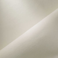 NEVE (120)