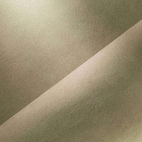 SEA SAND (111)