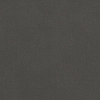 Dark Warm Grey (CP4201)