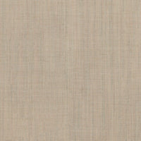 Light Sand (CA0216)