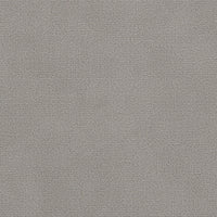 Light Warm Grey (CP4101)