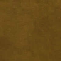 Soft Ochre (BEL926)