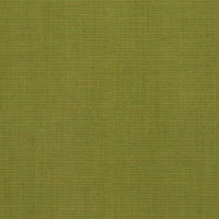 Spring Green (REM912)