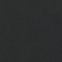 Haze | Anthracite (HAANT)