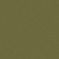 BENGALI GREEN