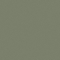 CELADON