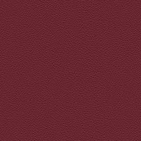 GARNET