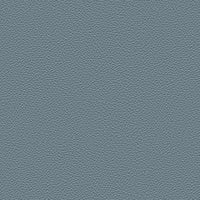 STEEL BLUE