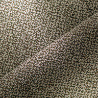 ECAILLE (3571)