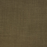 gobi