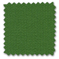 07 fern
