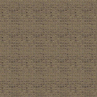 ALMOND CPC10
