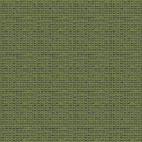 EVERGREEN CPC08