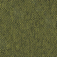 OLIVE EGL31