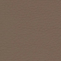 Dusty Earth 640-3881