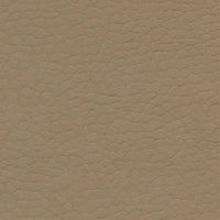 Savanna 640-3880