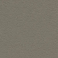 Walrus Grey 640-6086