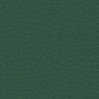 Spinach 630-4335