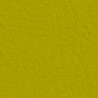 Avocado 107-2110
