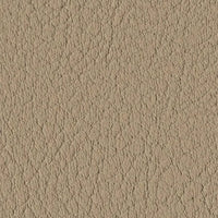 Beige107-1050