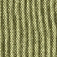 Celery 122-5019