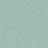 Coral 107-2106