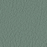 Eucalyptus 107-6438
