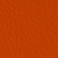 Naranja 107-6019