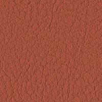 Nectarine 107-6003