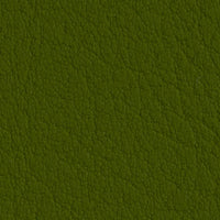 Olive 107-5001