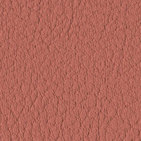 Peach 107-9245