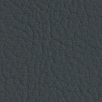 Platin 107-4043