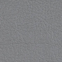Silver 107-4020